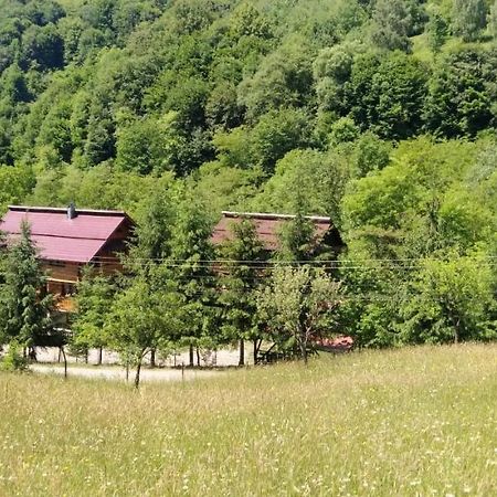 Pensiunea Simina Viseu de Jos Luaran gambar