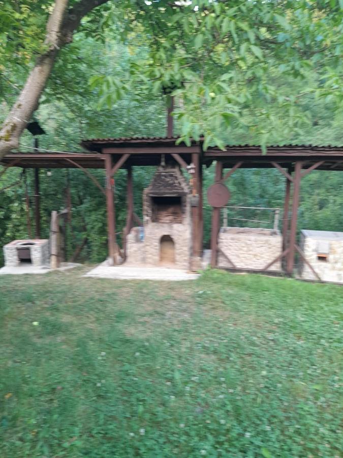 Pensiunea Simina Viseu de Jos Luaran gambar