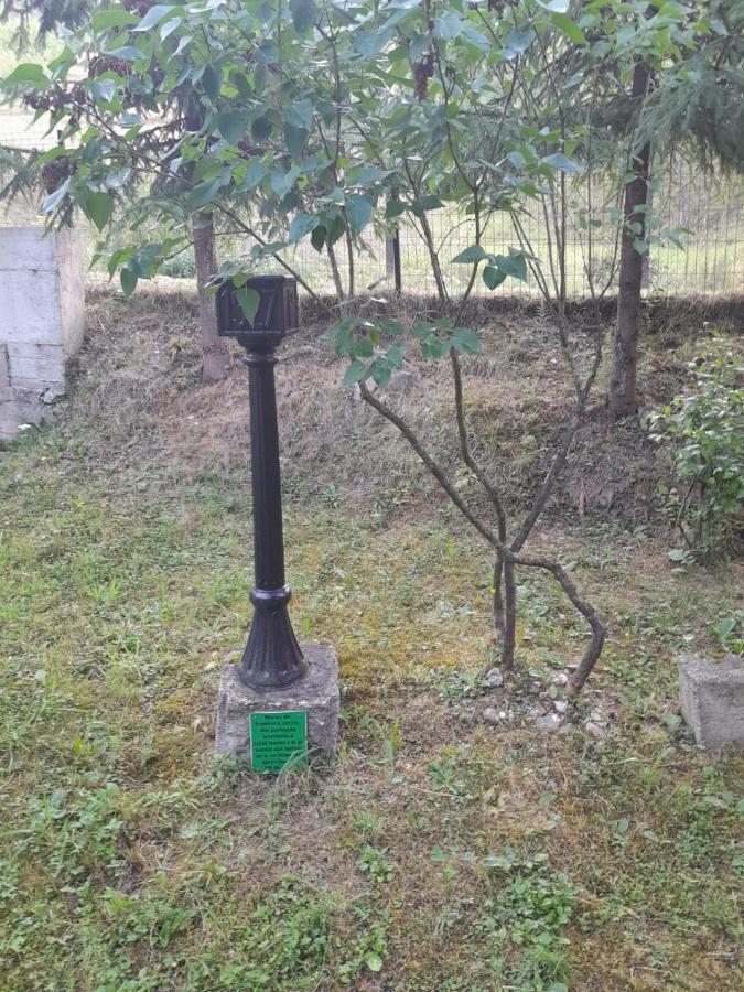 Pensiunea Simina Viseu de Jos Luaran gambar