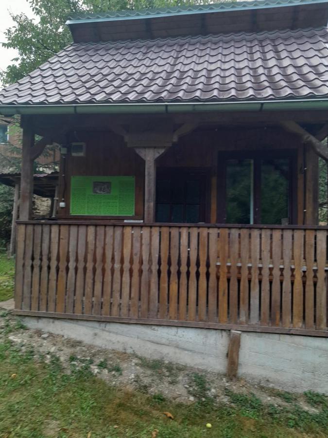 Pensiunea Simina Viseu de Jos Luaran gambar